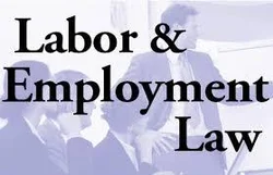 Labor Law and Employment Markets: An Economic Analysis