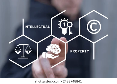 Intellectual Property Rights: An Economic Perspective