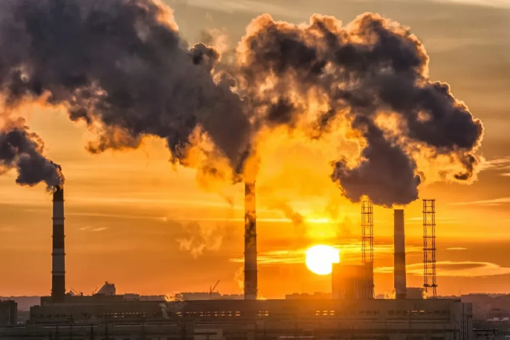 Environmental Law and Externalities: An Economic Perspective